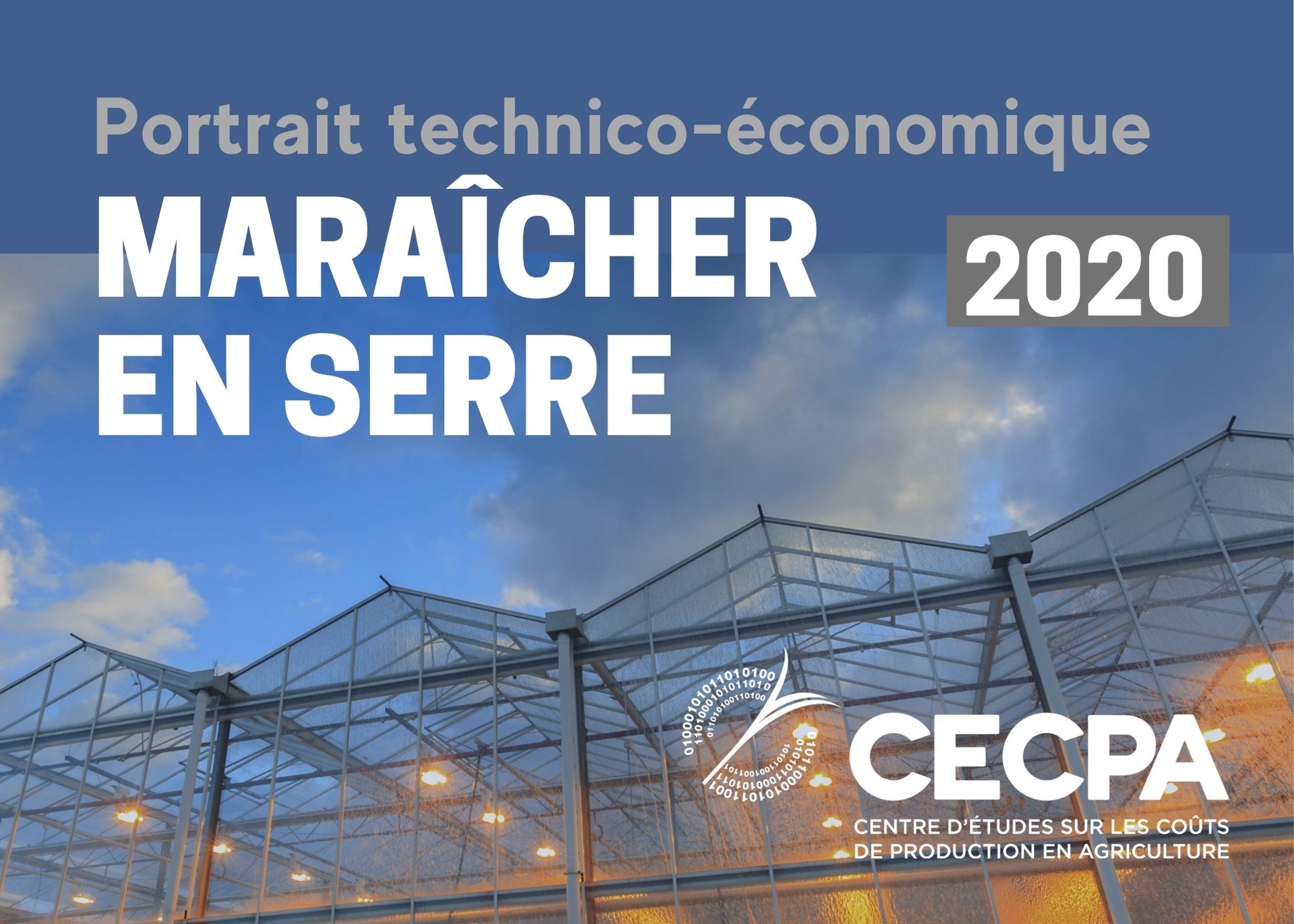 Informations complémentaires : Portrait technico-économique - Maraîcher en serre 2020